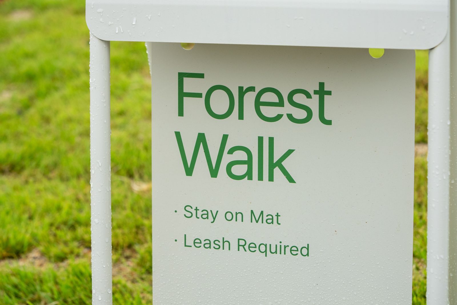 Forest Walk 안내판: Stay on Mat, Leash Required